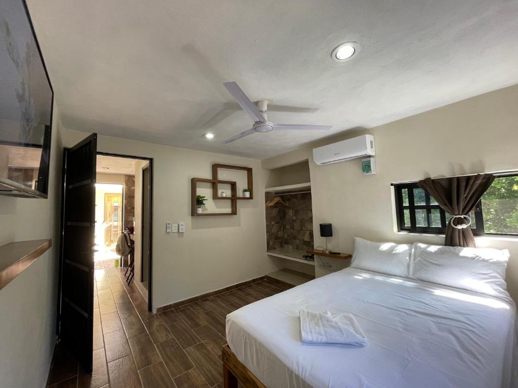 Departamento coral #2