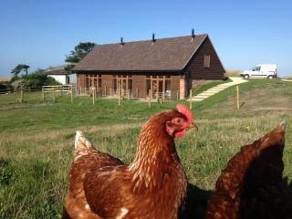 Poachers Hut - Captivating 1-bed Cottage IOW (Shorwell)