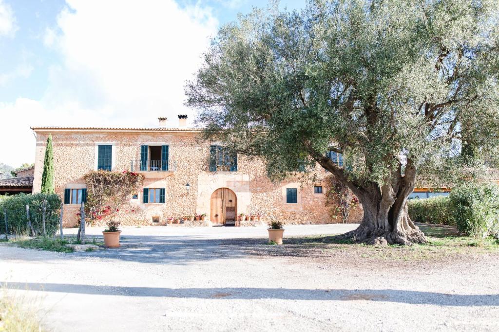 Finca Es Cabas (Santa Maria del Camí)