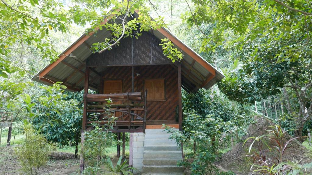 Khao Sok Green Mountain View