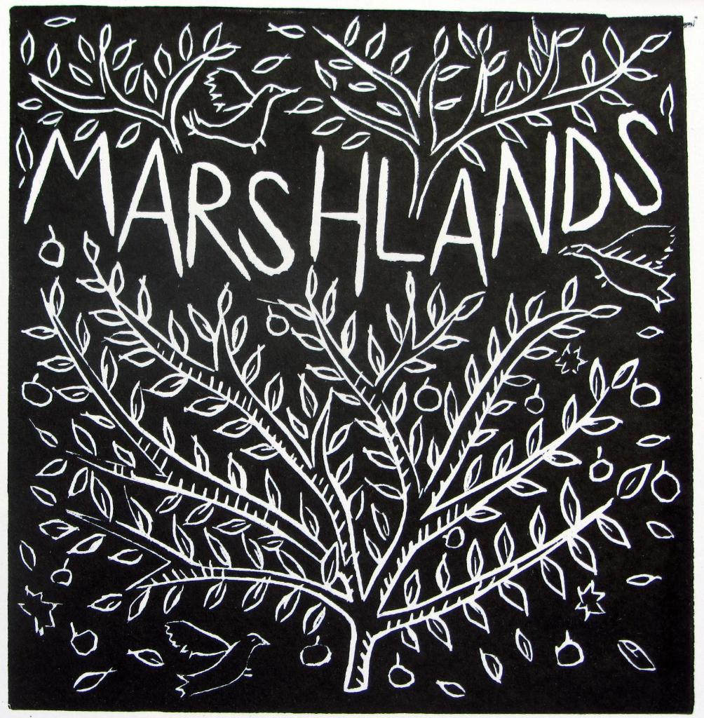 Marshlands Apartment (Lewes)