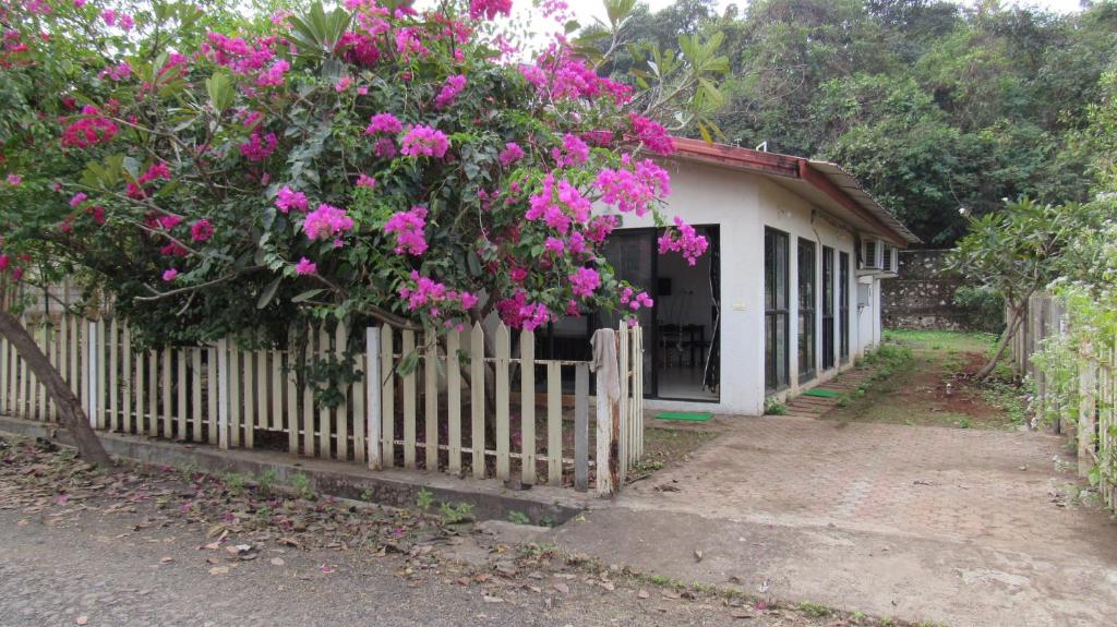 Retreat Holiday Homes