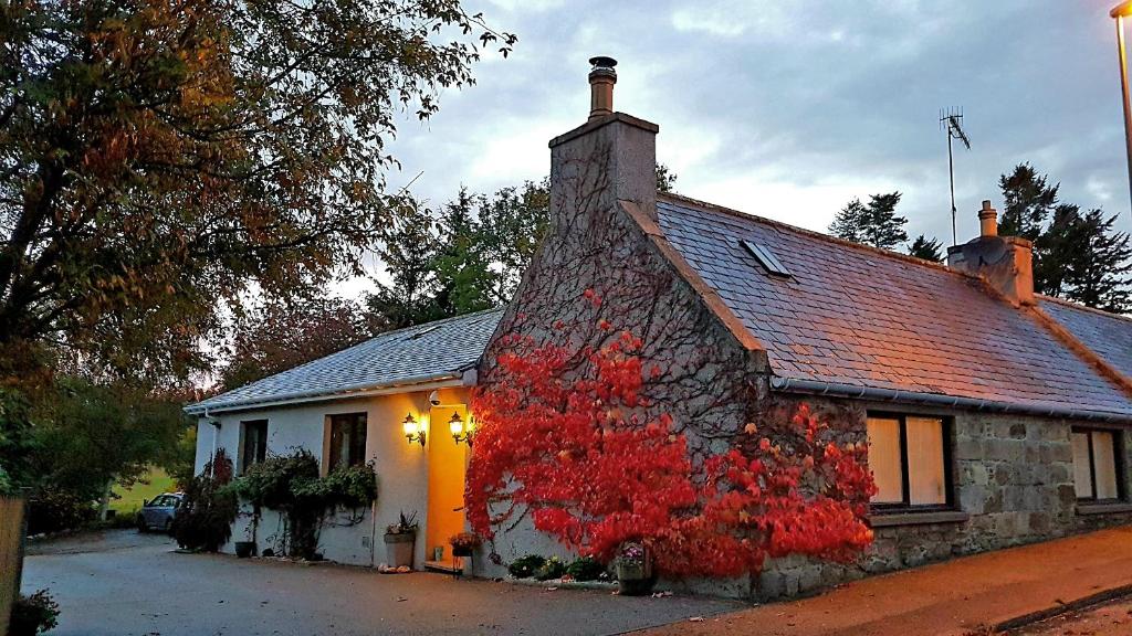 LILYOAK BED & BREAKFAST (Insch)