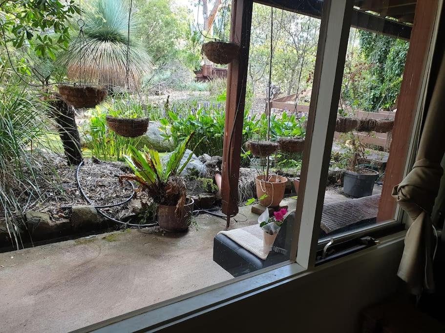 Peaceful nature near City & ANU with free parking