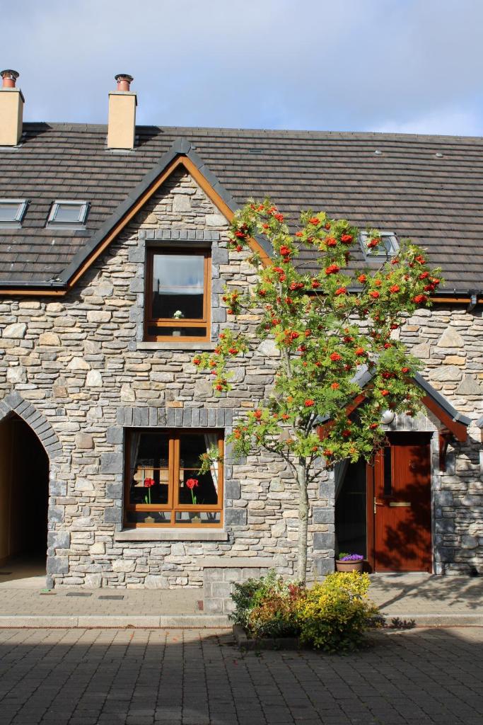 Cosy Holidayhomes Kerry