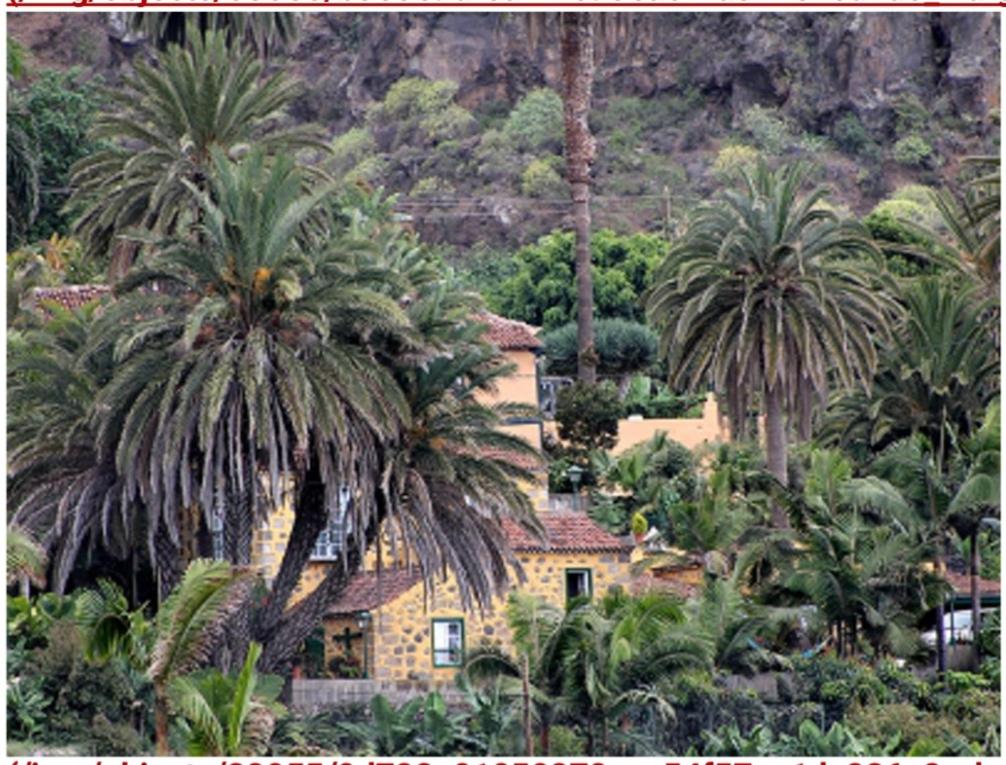 Finca Doña Juana (Los Realejos)