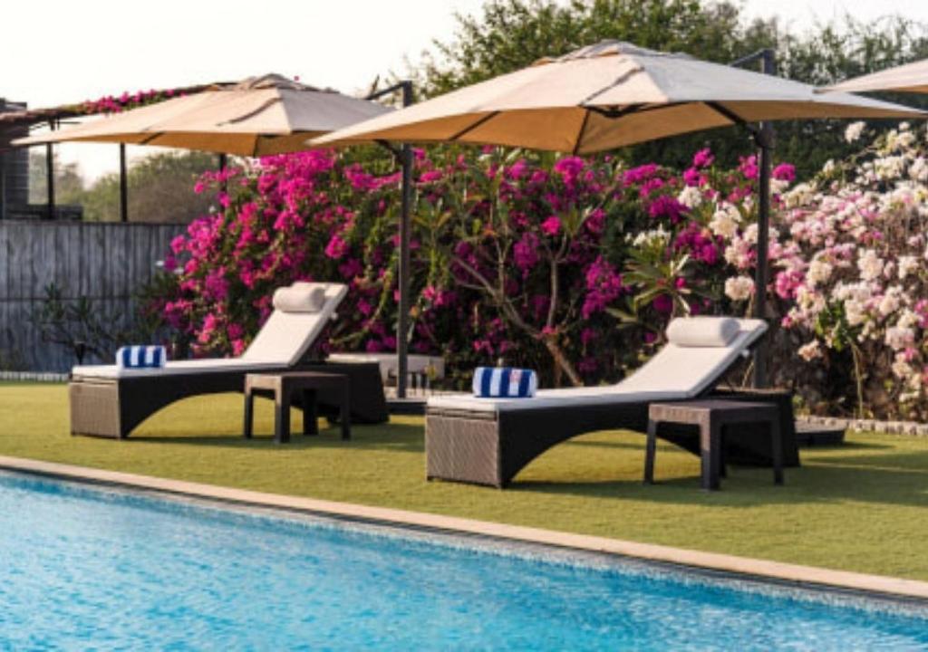 SaffronStays Brunton House