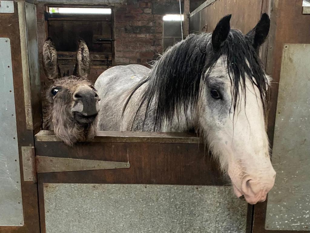 Holywell Grange Farm (Whitley Bay)
