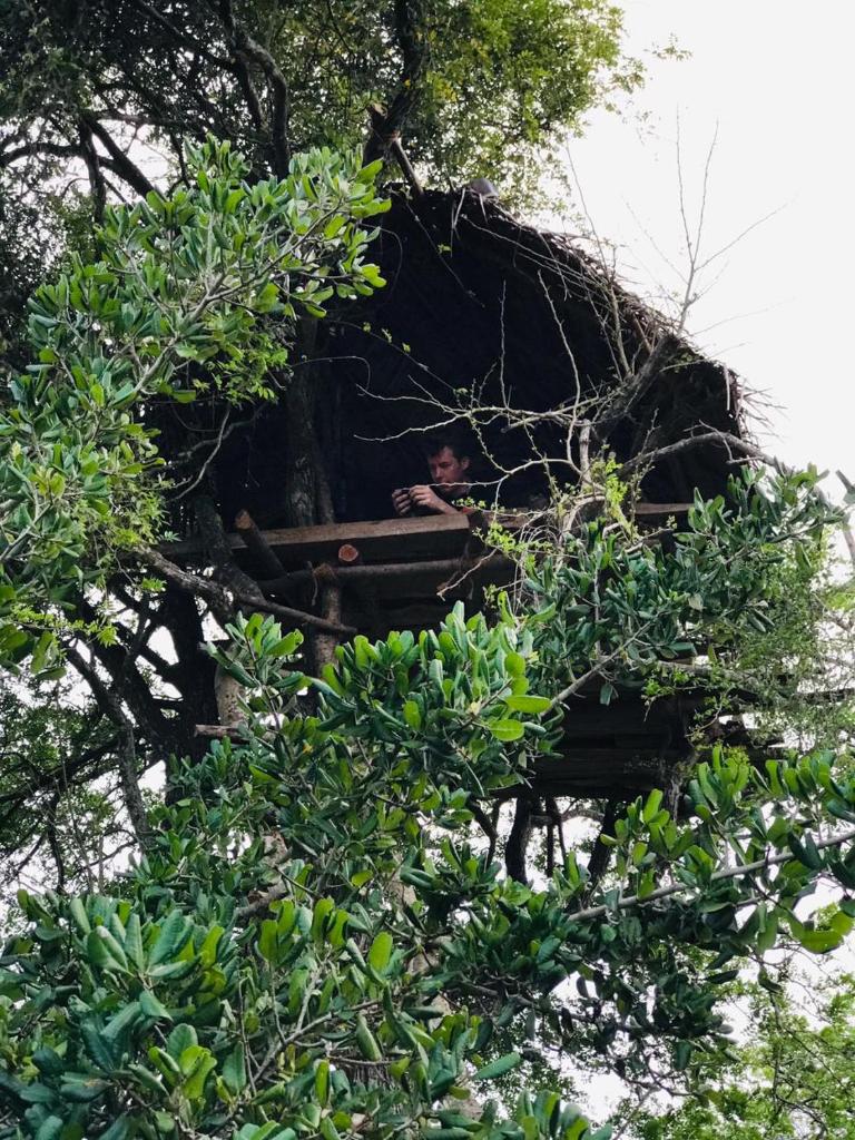 Elephant Lake Jungle Hut