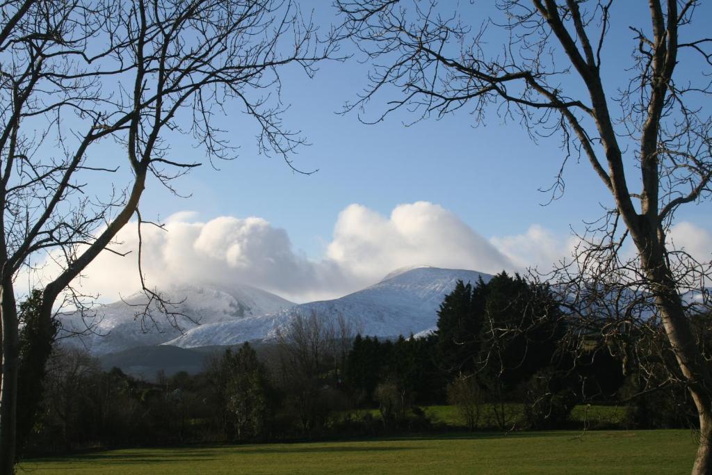 Tuck Mill Cottage (Castlewellan)