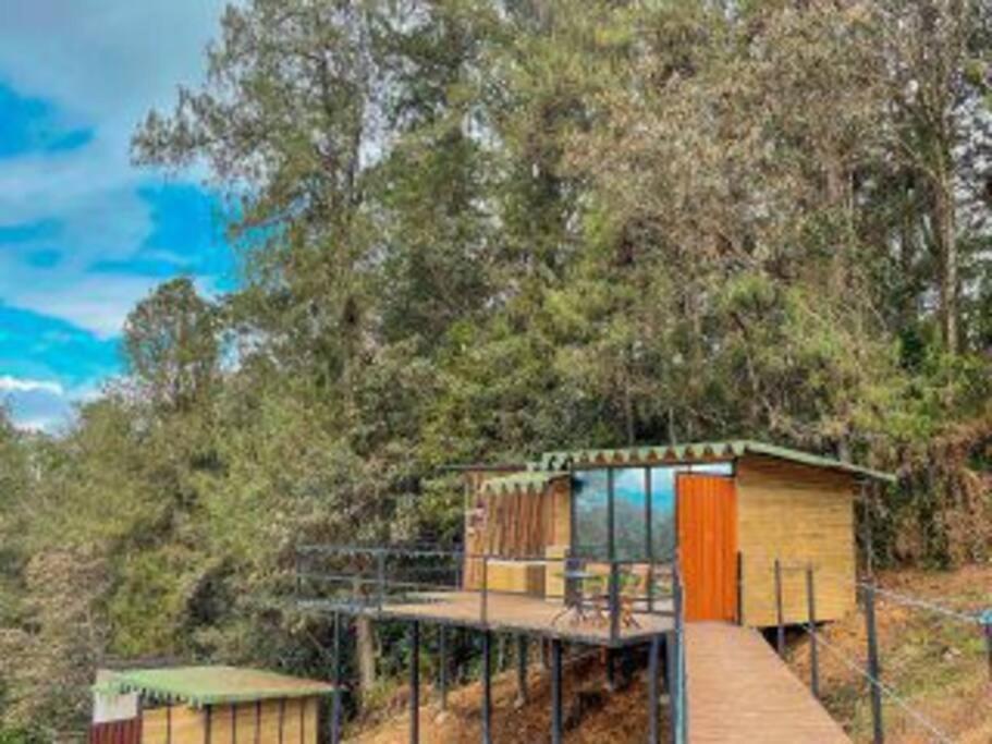 Glamping -juci