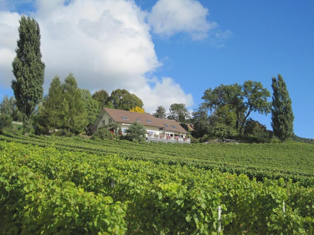 Domaine Beauregard (Rolle)
