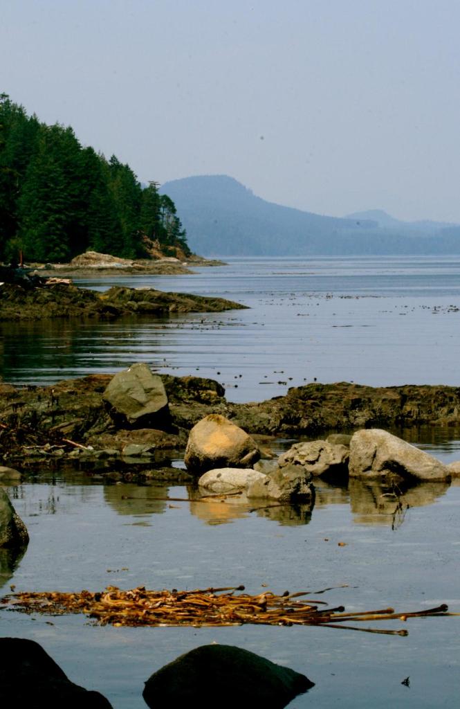 Brown's Bay Resort (Campbell River)