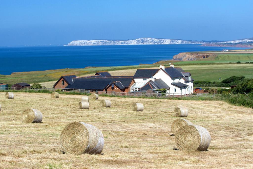 Chale Bay Farm (Ventnor)