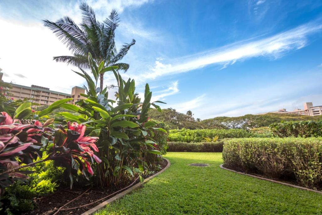 K B M Resorts- HKK-140 Unique modern 2Bd (Kaanapali)