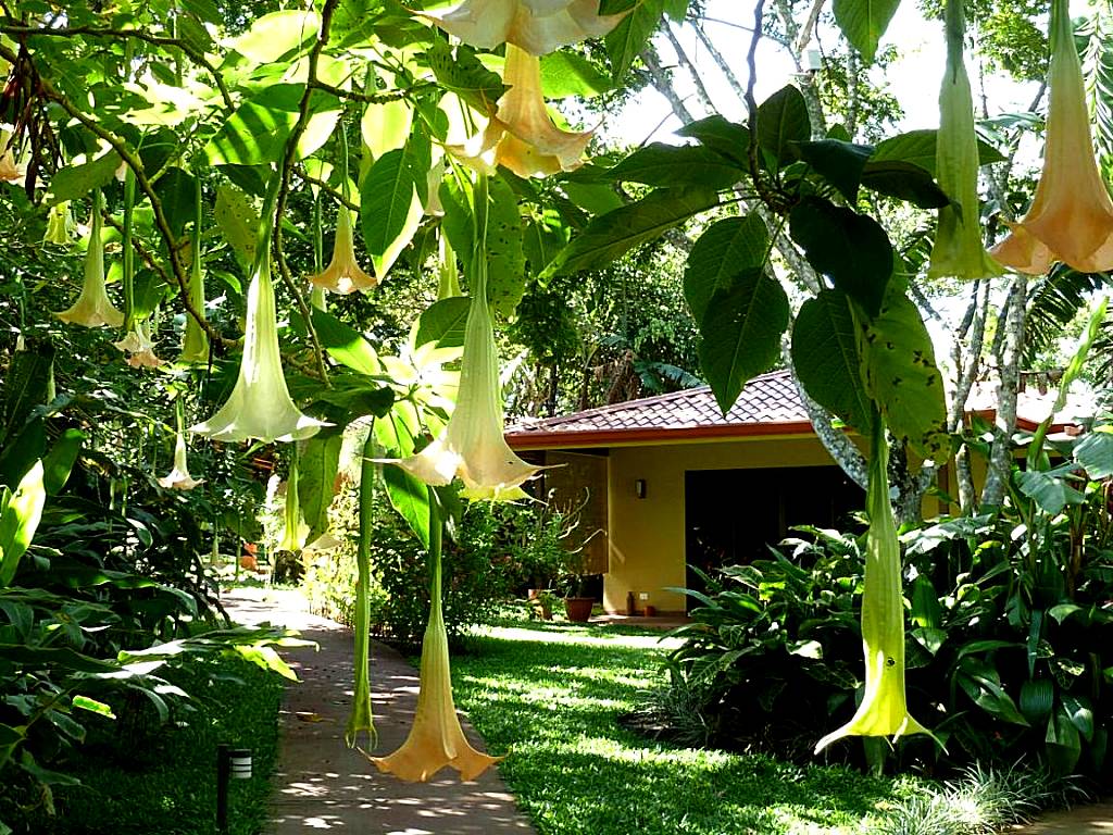 Tacacori EcoLodge