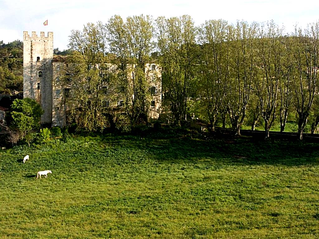Château d'Esparron (Esparron-de-Verdon)
