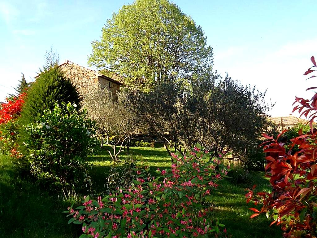 Le vieux tilleul (Banne)