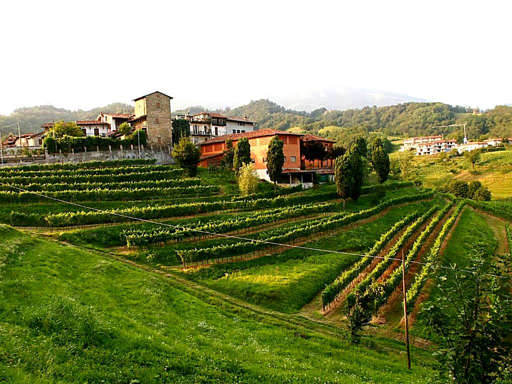 Agriturismo Il Belvedere (Palazzago) 