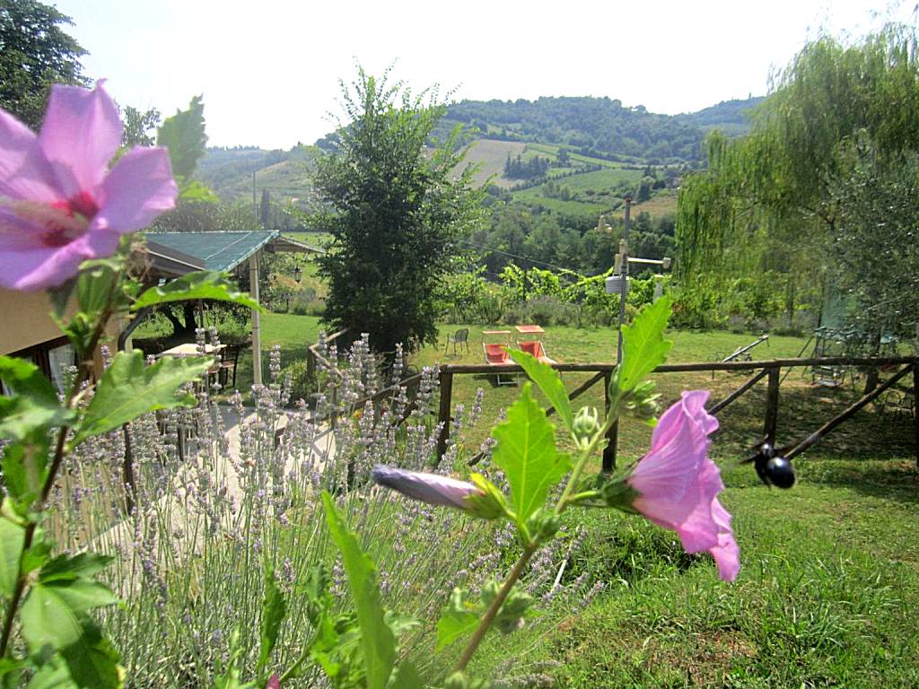 Le Spighe Agriturismo