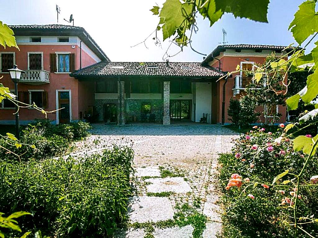 IN VIRIDI