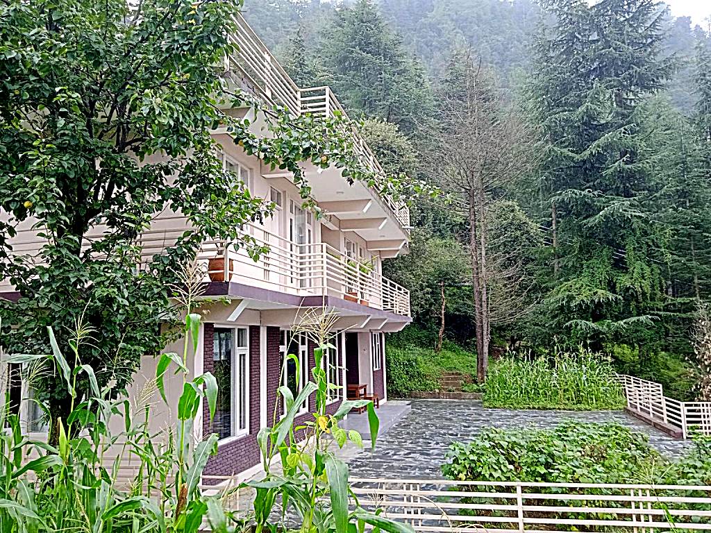 Junglaat Ecorganic Stays & Experiences