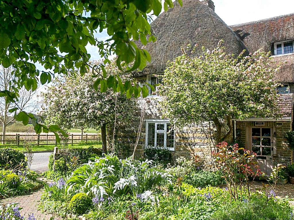 Tudor Cottage B&B Frampton