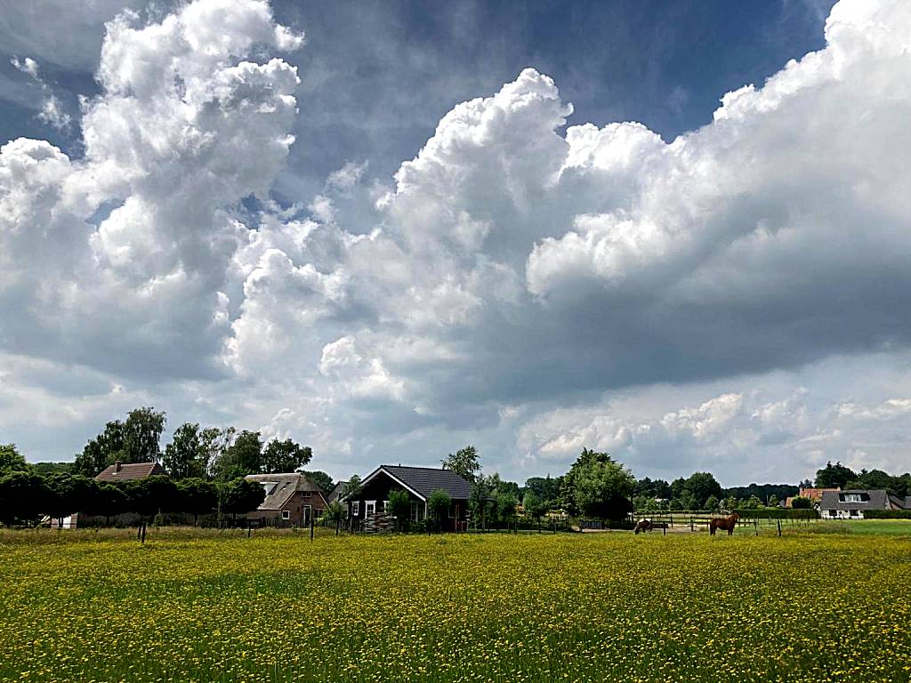 B&B De Veldweg (Heerde) 