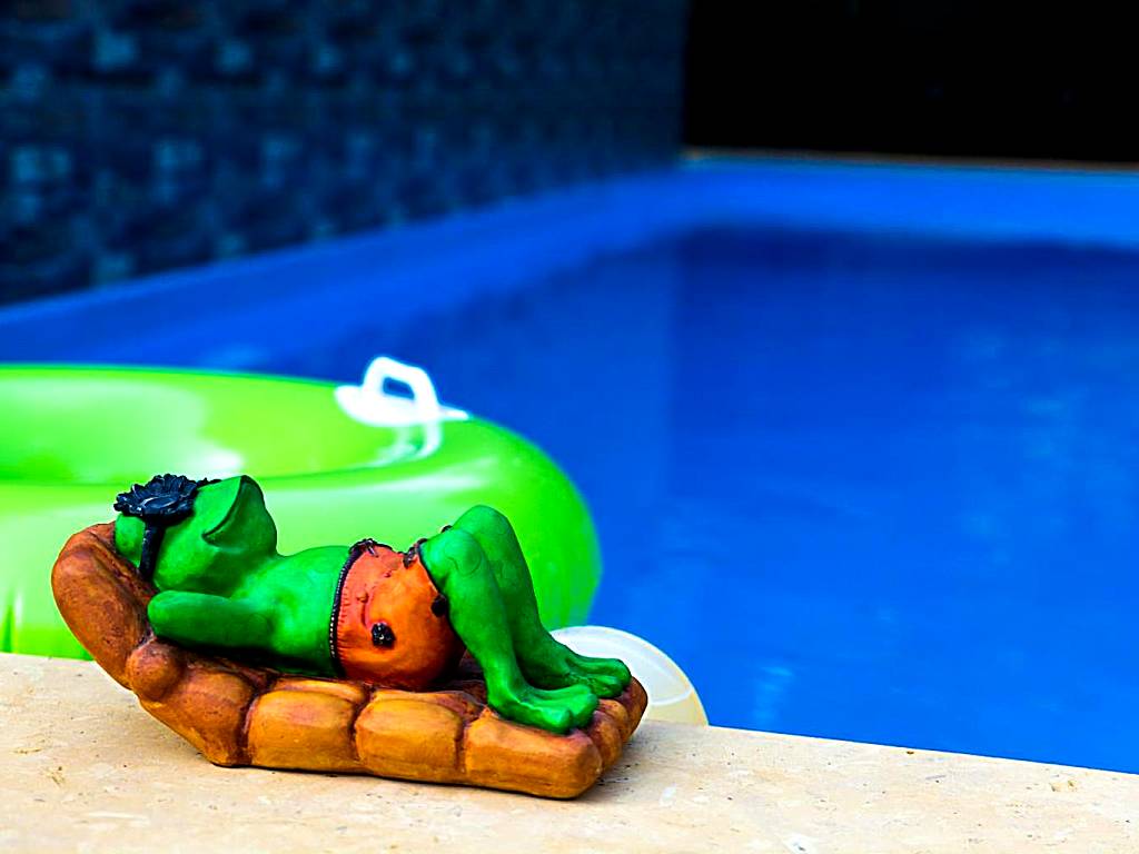 Lazy Frog Guest House (Cavelossim)