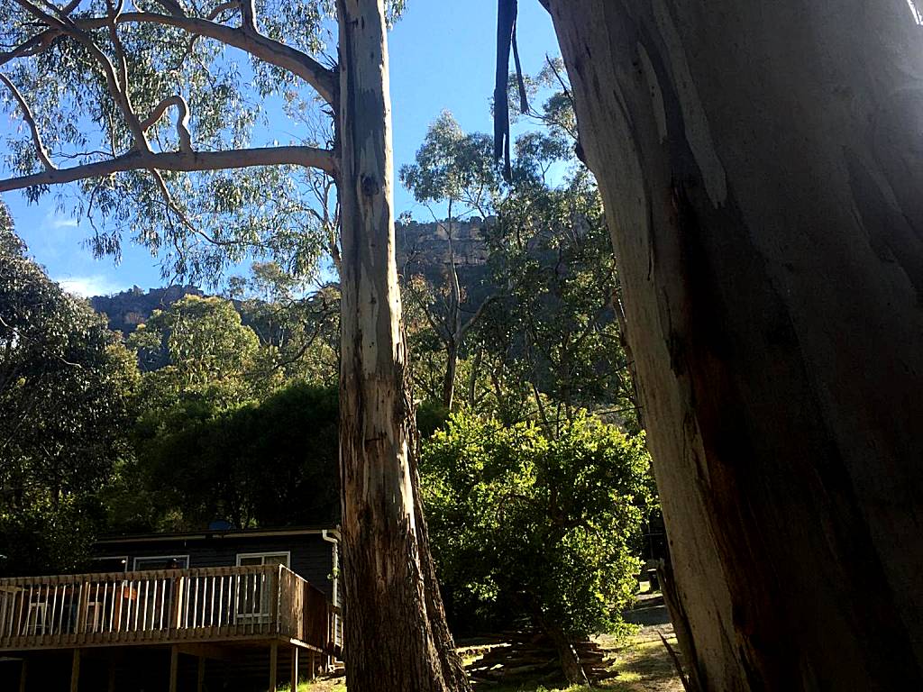 Grampians Nest