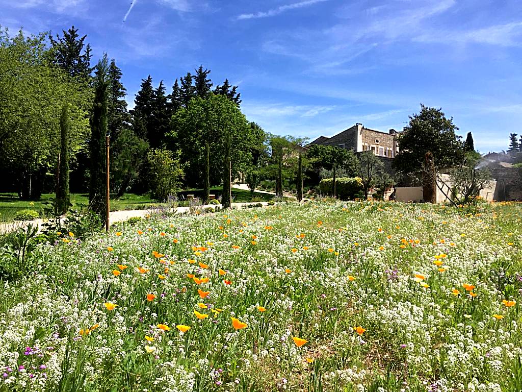 Domaine Les Martins - Gordes (Gordes)