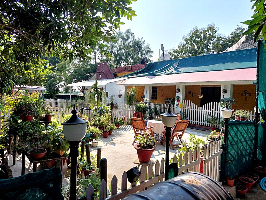 Koko's Farm