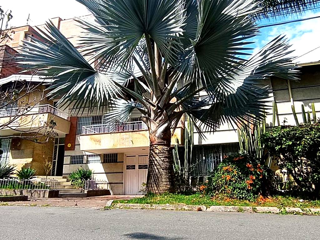 Casa Almarita 2