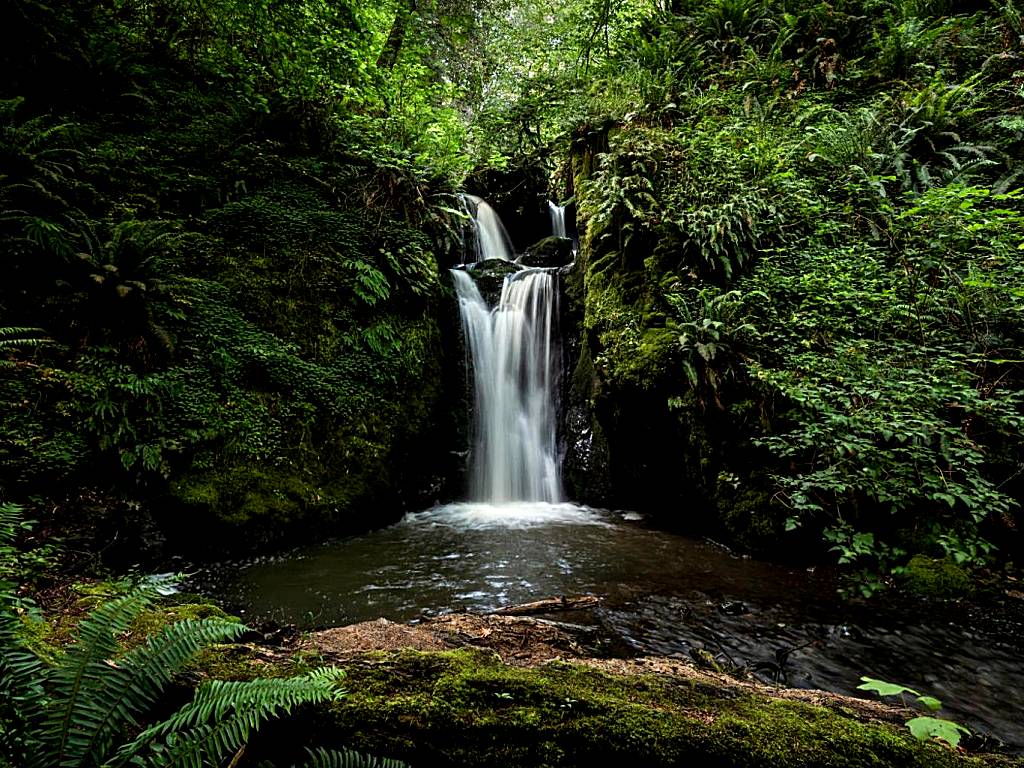 Taylor Creek Lodge (Gold Beach)