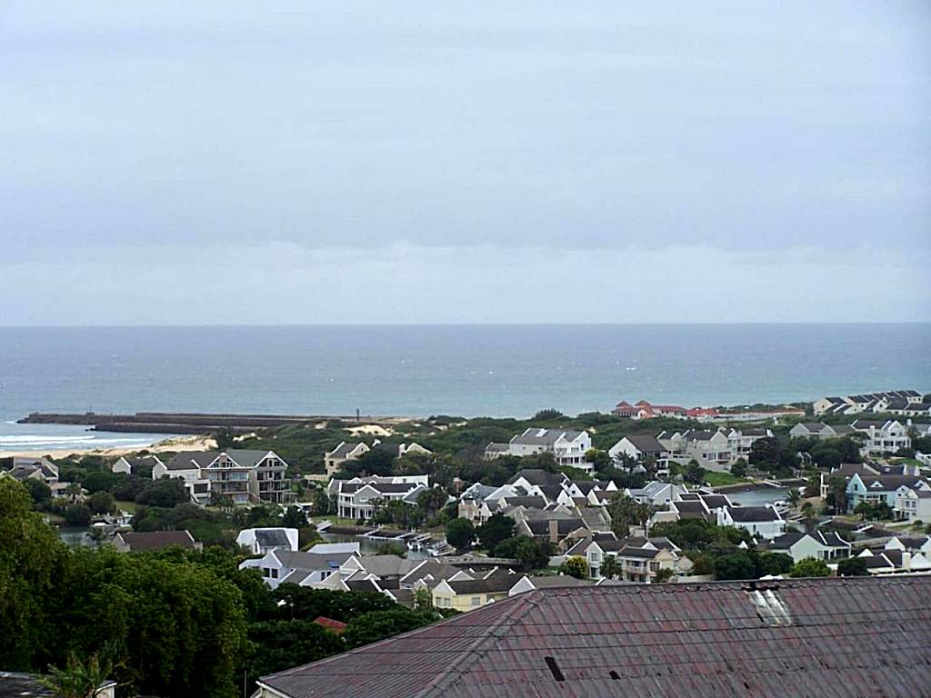 THE VIEW