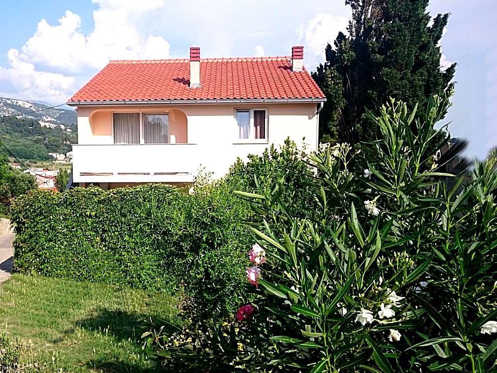 Guest House Violeta