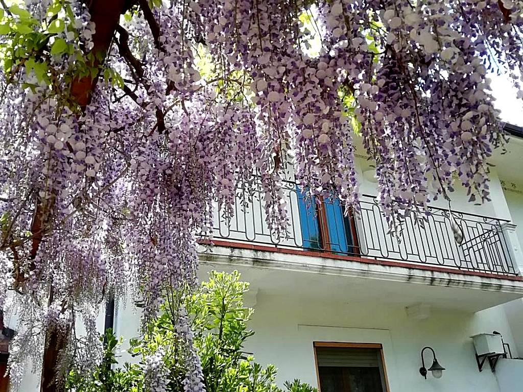 Villa Biancofiore