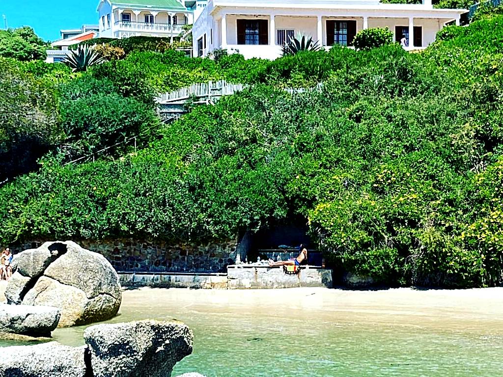 Bosky Dell on Boulders Beach