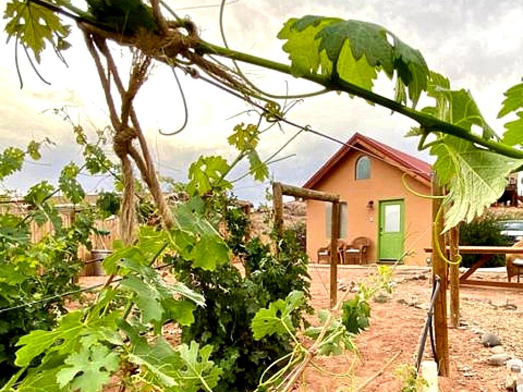 Willow Street Cottages (Bluff)