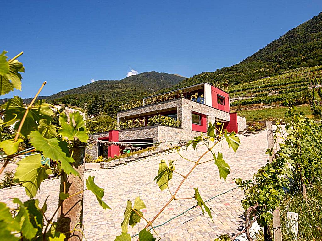 Nebbiolo Wine B&B (Castione Andevenno)