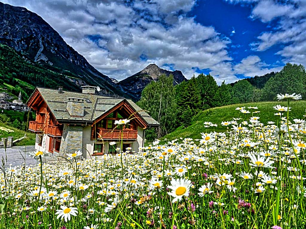 Chalet Taulei (Valdidentro)