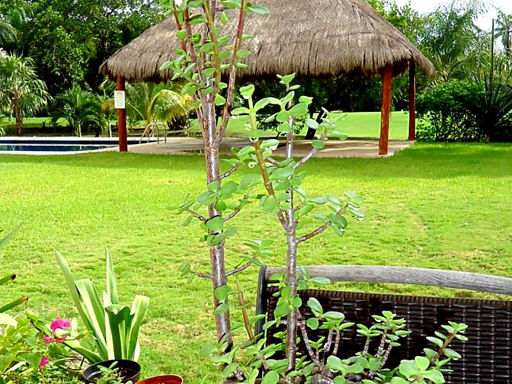B&B Mom's House (Puerto Aventuras)