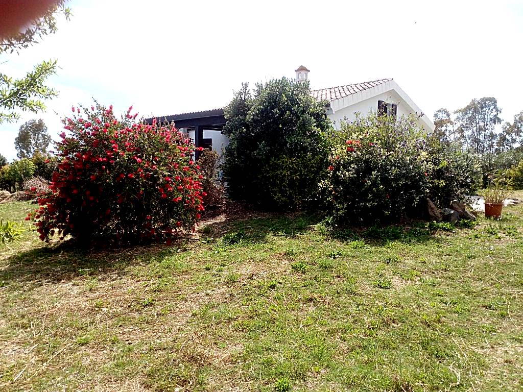 Casa Nerelie'S