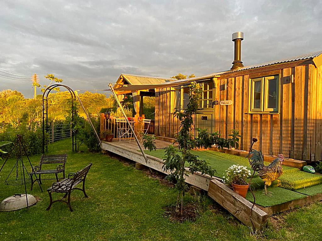Willowbank shepherds hut (Taunton)