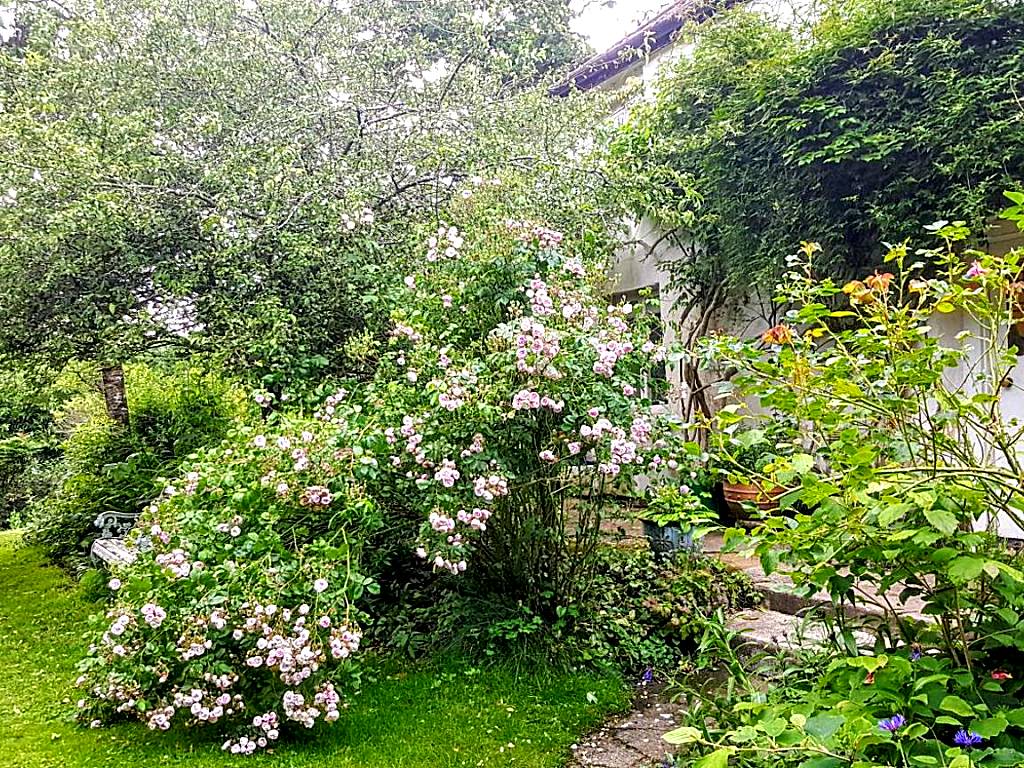 Tracebridge Cottage B&B (Stawley)