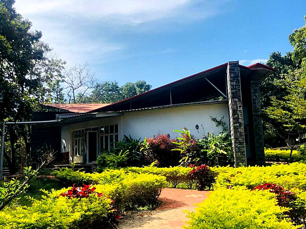 The Tamarai Yelagiri
