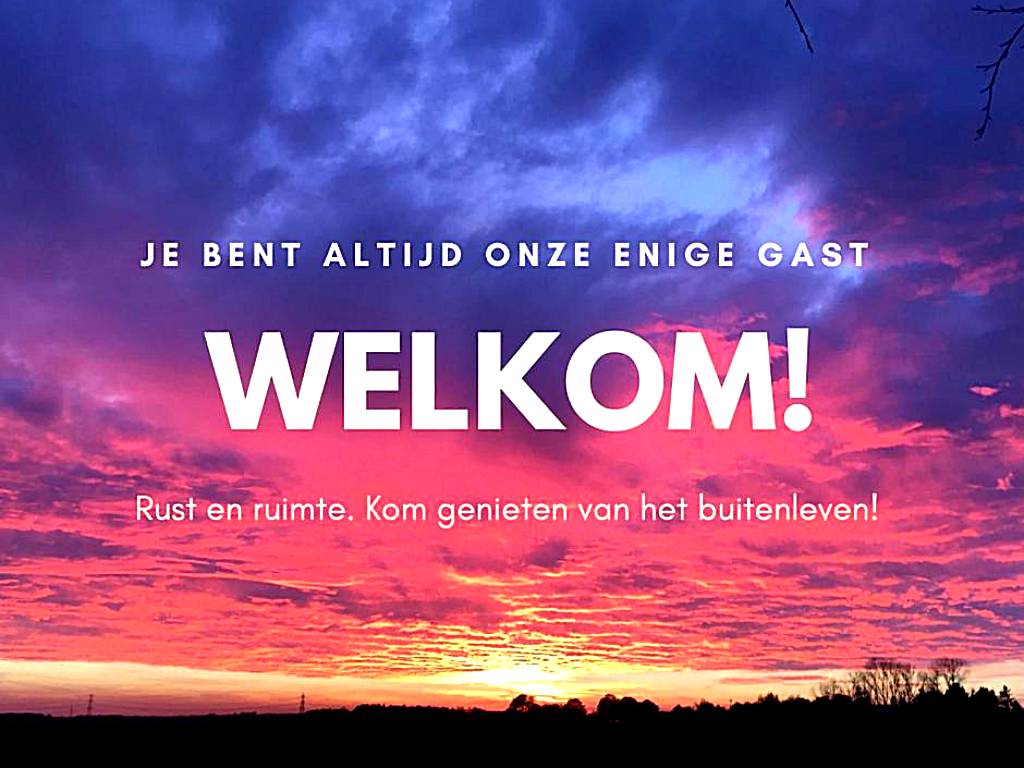 De Porrepoele (Alteveer)