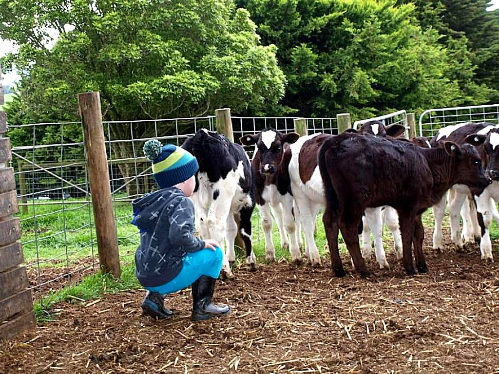 Manderley Park Farmstay B&B (Buln Buln)