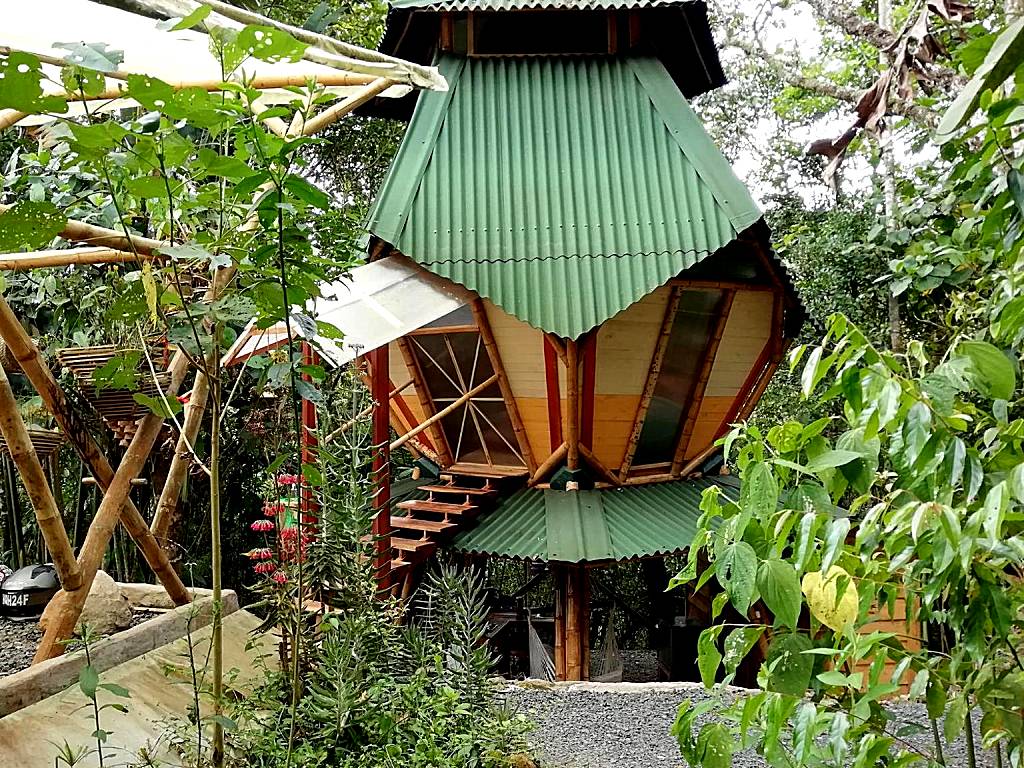 Kasaguadua