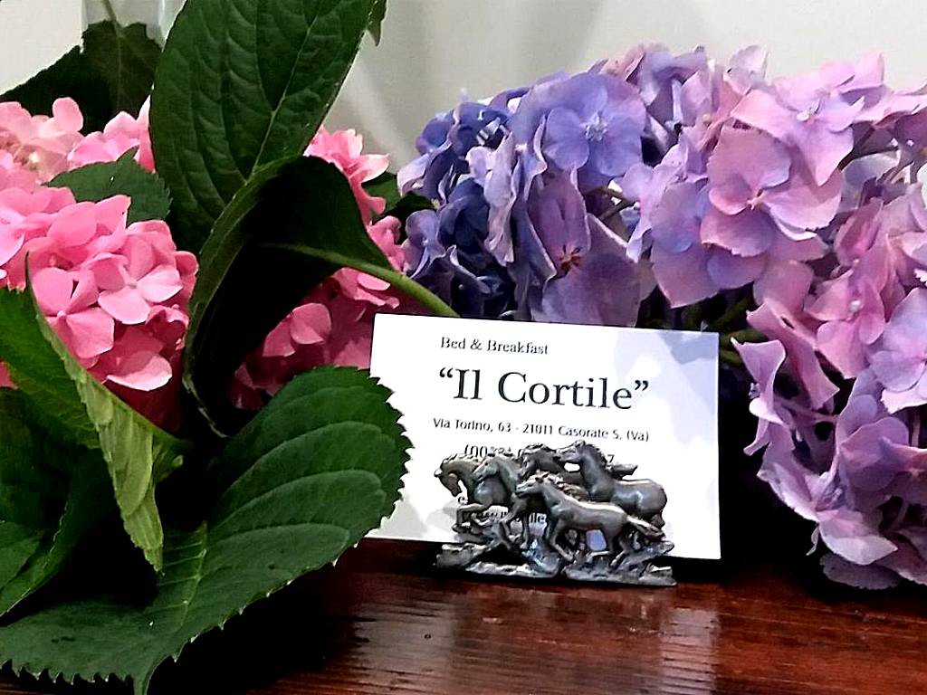 B&B il Cortile Malpensa (Casorate Sempione)